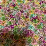 レースフラワー 押し花 おまかせ40枚