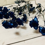 バラ ドライフラワー ロイヤルブルー