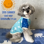 「ご予約」M＊cool白熊さん半袖Tシャツ
