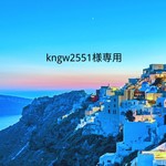 kngw2551専用