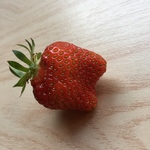 専用です。