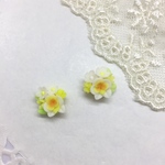 胡蝶蘭  小さな     お花 ブーケ   66