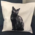 45×45 黒猫のクッションカバー②