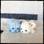 オーダー品＊不思議森の白ドラコと水色ドラコ♪
