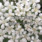KOKO❤︎ER様 専用ページです。