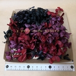 花材　現品2 　紫陽花　