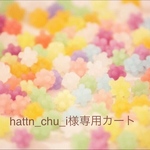 hattn_chu_i様専用カート