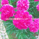 kiku1969様専用ページ(*´˘`*)♡