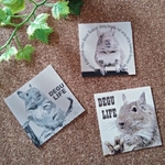 ♕ DEGU LIFE ♕ RODENTS デグーシールセット