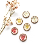 new♡押し花レジンの大ぶりピアス