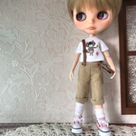 たぬきさんセット ブライスサイズ