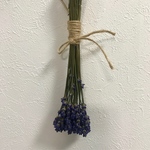 北海道 富良野産ラベンダー ドライフラワー (濃紫) 花材50本