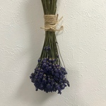 SALE!! 大特価1100→990円‼︎北海道富良野産ドライフラワー  ラベンダー花材濃紫100本