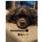 kurumi3anzu3様専用ページ