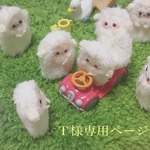 Ｔ様専用ページ