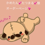 かめたん💕たつまる💕様専用ページ💖