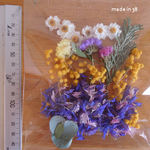 ドライフラワー　ミモザ 　矢車草の花びら　花かんざし　スターチス　ヘッド　花材