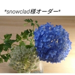 *snowclad様オーダー*