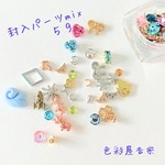 再販５✩５ｇ　レジン封入/ミニパーツセット　色彩屋吉宗