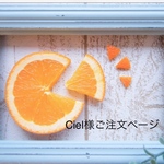 Ciel様ご注文ページ 押しフルーツ