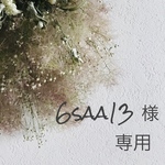 6saa13  様  専用