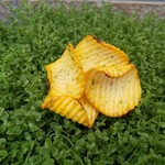 【再販】のり塩ポテチのブローチ