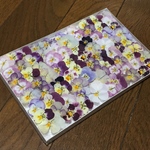 お花屋さんが作ったビオラのドライフラワー   み-3