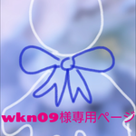 wkn09様専用ページです