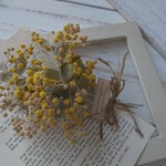 ＊ミモザ♡のminiスワッグ＊（洋書付き）