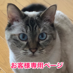 たましお様専用ページ