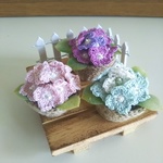 お庭の紫陽花