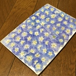 お花屋さんが作ったネモフィラのドライフラワー