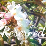 Reserved☆t様お取り置き