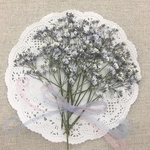 押し花素材/再販💕かすみ草✨ライトラベンダー