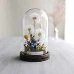 BotanicalGlassdome たんぽぽ c