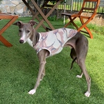 迷彩メッシュタンクトップ