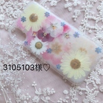 専用ページ