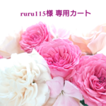 ☆ruru115様の専用カート☆