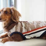 犬服　ダックスちゃんの迷彩の涼しげなタンクトップ