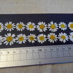Mignon＊様ご注文品です🌼小さなノースポール