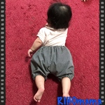 ボーダー柄のかぼちゃパンツ