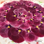 ♡new♡作家様必見♡ ♡少し大きめビオラ♡ 赤花処理済み♡押し花セット