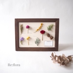 ✳︎New!✳︎小さな森のBotanical標本#17✳︎洋書ペーパー1枚おまけ付き✳︎