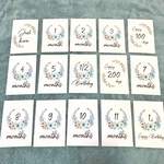 【送料無料】☆月齢カード☆