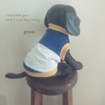 犬服 太めボーダー