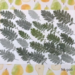 ♡new♡作家様必見♡ ♡おしゃれなシルバーレースがたくさん♡押し花セット