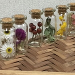 小さな瓶に小さな花