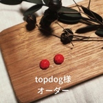 オーダー みずみずしいベリーのピアス