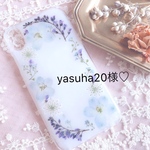 専用ページ