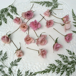 送料込み ミニ薔薇のドライフラワー